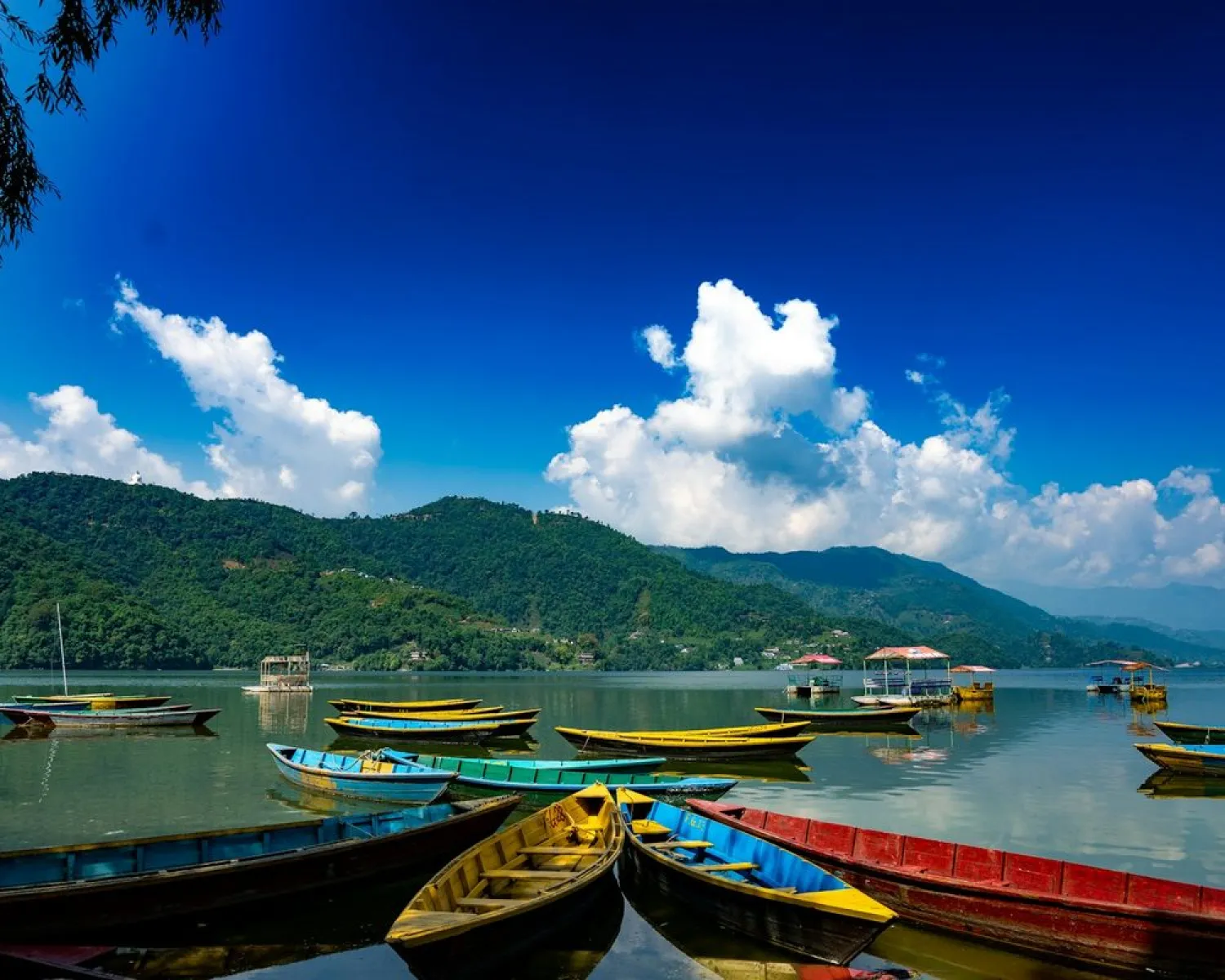 Colourful boats on Phewa Lake in Pokhara