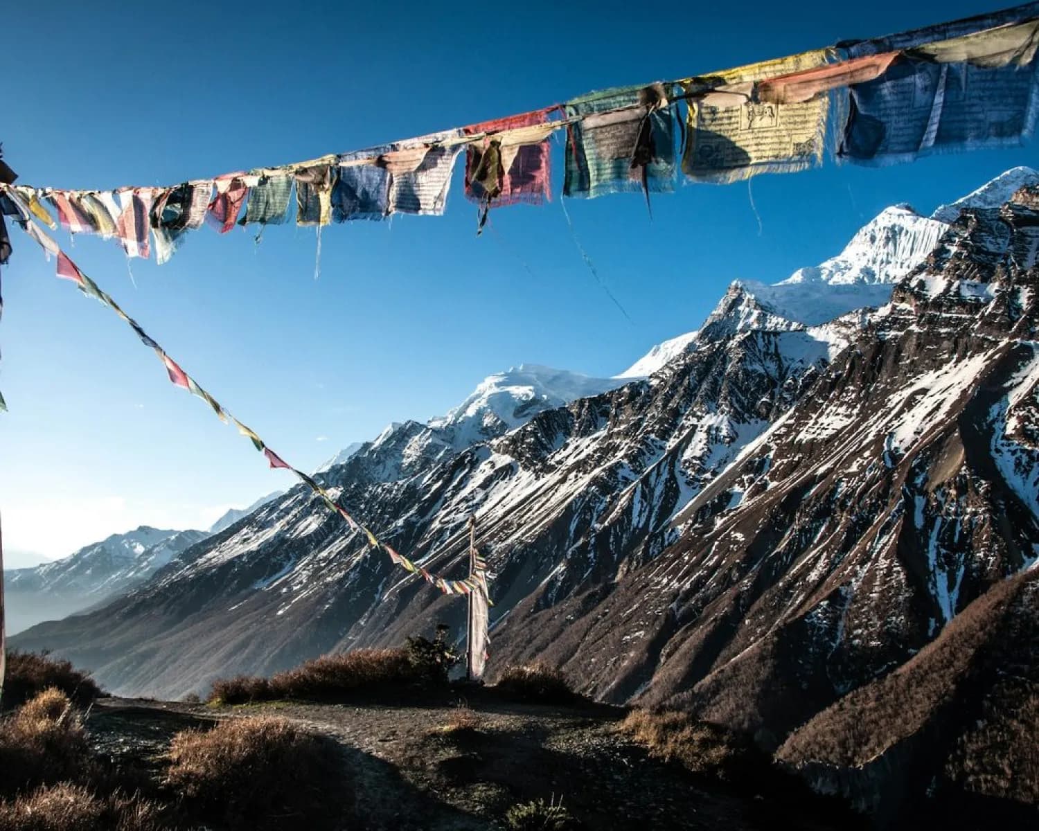Prayer flags strung above a snowy Himalayan range