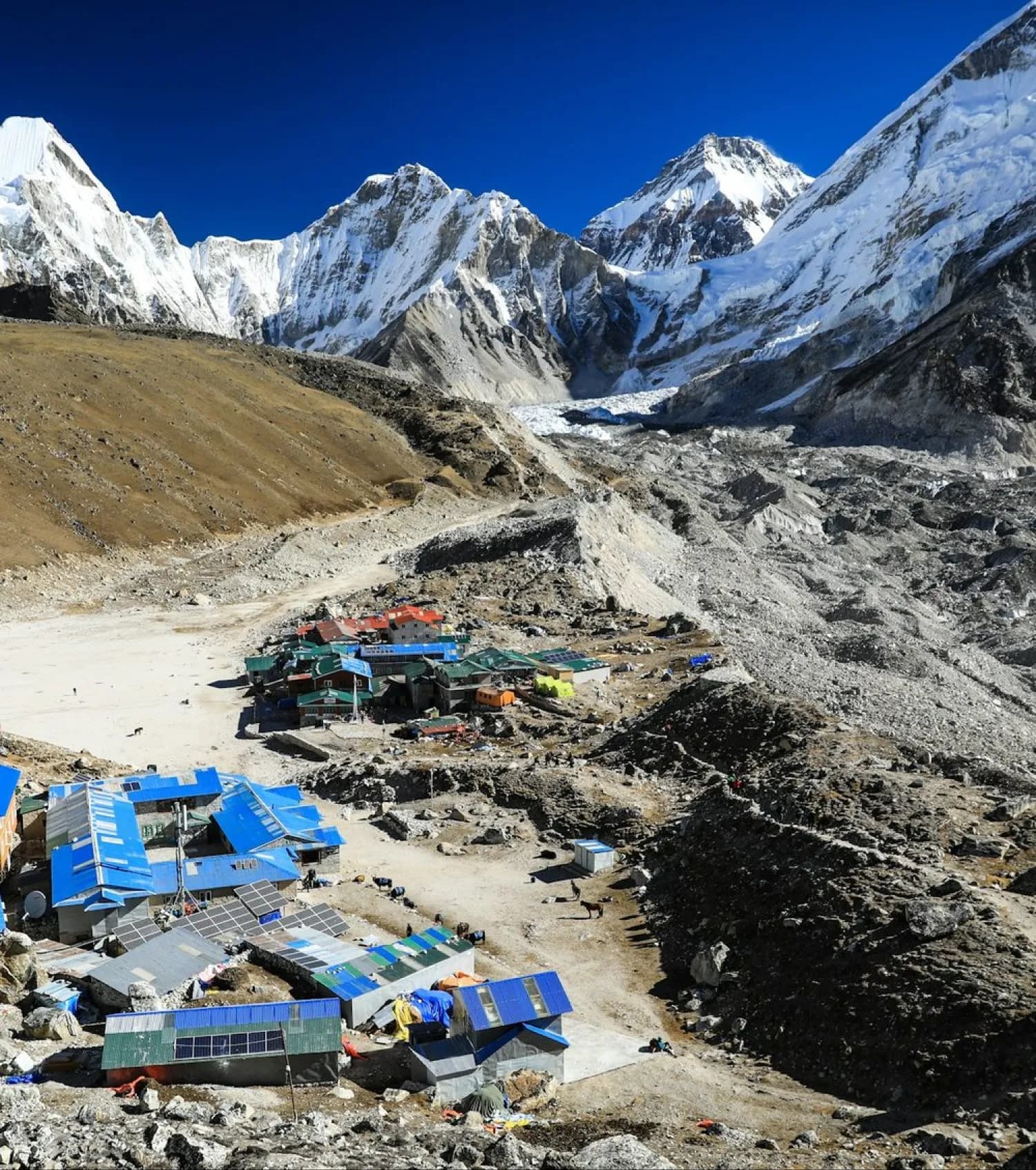 Field researchers recording data at a high camp